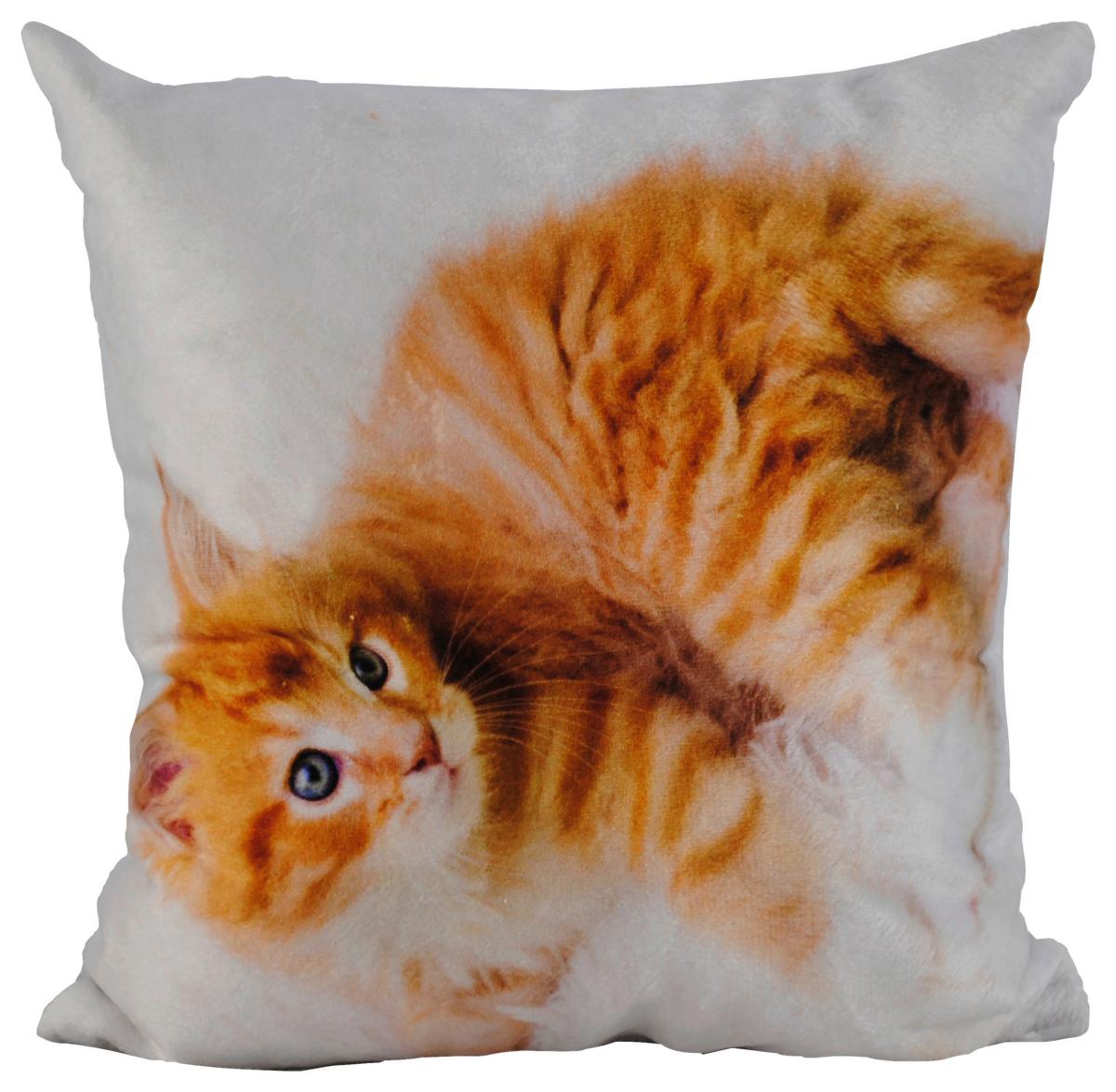 Zierkissen Xenia 25x25 Cm Samtoptik Tiermotive - Multicolor, KONVENTIONELL, Textil (25/25cm) - Ondega