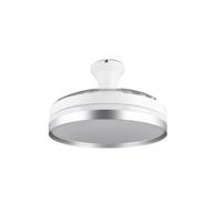 Deckenventilator Lindberg Weiß Titanfarben D: 48 cm - Transparent/Titanfarben, KONVENTIONELL, Kunststoff (48/31,0cm)