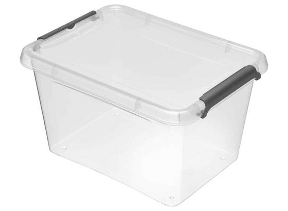 Box mit Deckel Lara - Transparent, Basics, Kunststoff (19,5/15/11cm) Box mit Deckel Lara - Transparent, Basics, Kunststoff (19,5/15/11cm)