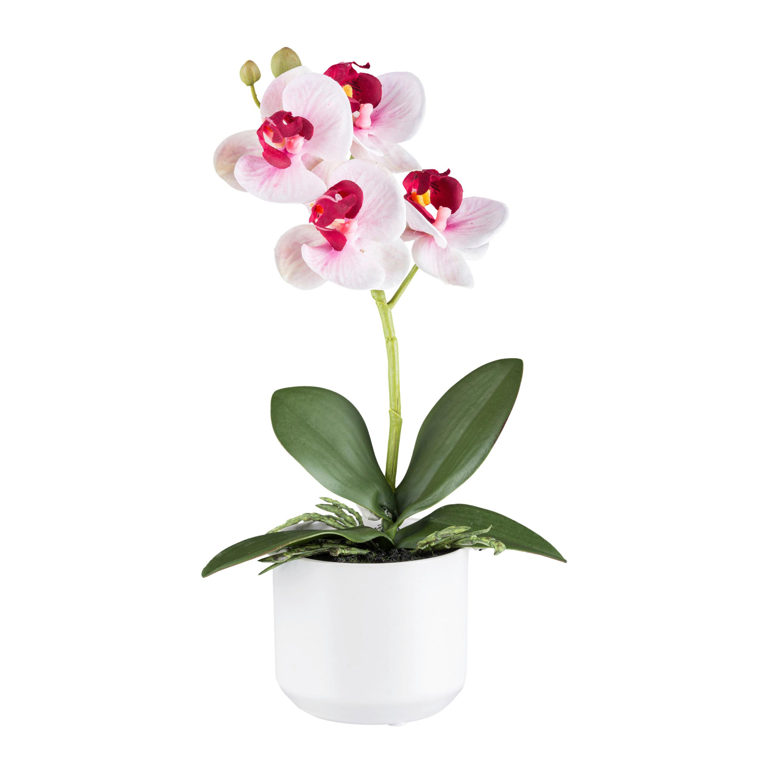 Kunstpflanze Orchideen Grün/Rosa/Weiß/Pink, 27 cm - Pink/Rosa, Design, Keramik/Kunststoff (27cm) - P & B