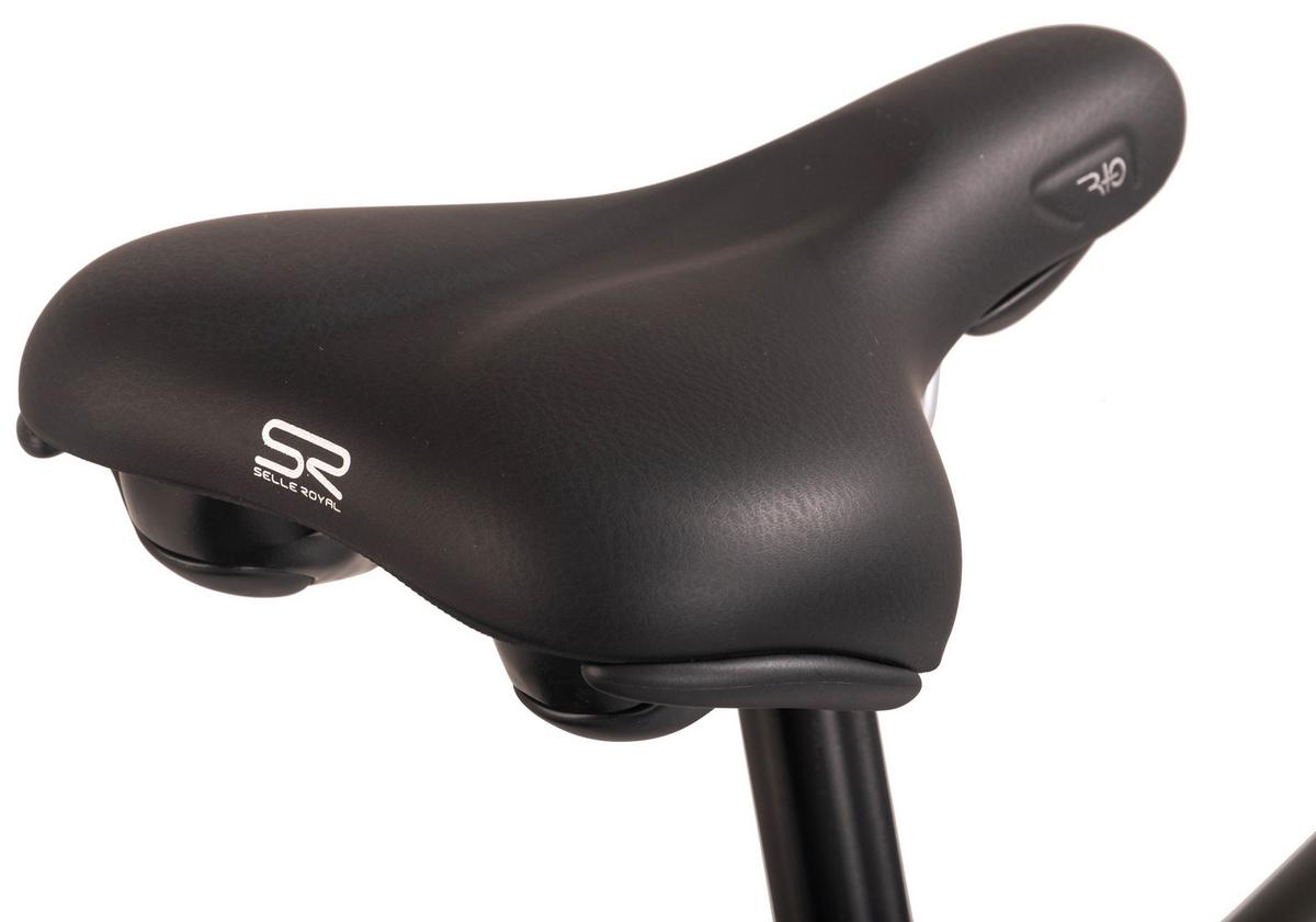 Elektrofahrrad Hollandia Zagon Grau - Grau, Basics, Metall (21/116/188cm) - KS Cycling