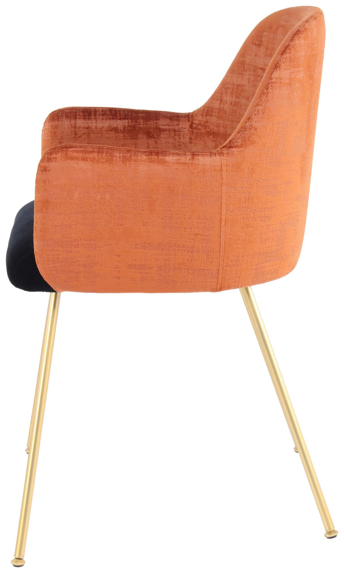 Armlehnstuhl Richard 525 Terra/Scharz - Goldfarben, Design, Holz/Kunststoff (53cm) - Kayoom