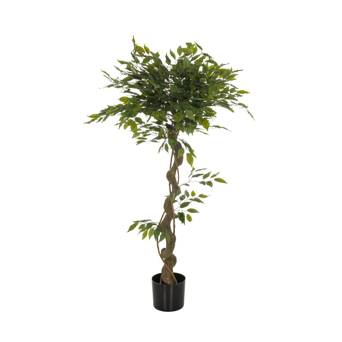 Kunstpflanze Ficus I - Schwarz/Braun, Basics, Kunststoff (70/120/70cm) - MID.YOU