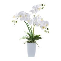 Kunstpflanze Orcideen Grün/Weiß, 67 cm - Weiß/Grün, Design, Keramik/Kunststoff (67cm) - P & B