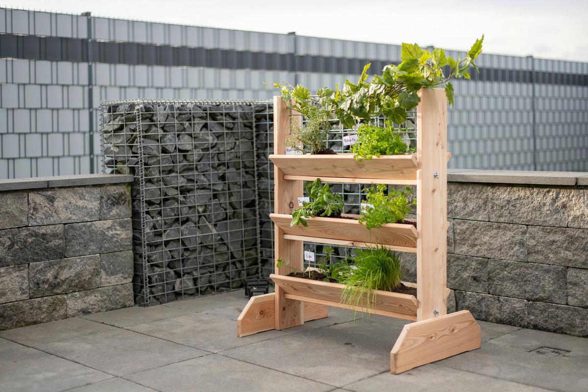 Gartenregal Kräuterregal L - Lärchefarben, Basics, Holz (80/95/50cm)