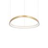 LED-Hängeleuchte Ottone Messingfarben D: 61 cm - Messingfarben, Design, Kunststoff/Metall (61/28,5/151,5cm) - Ideal Lux
