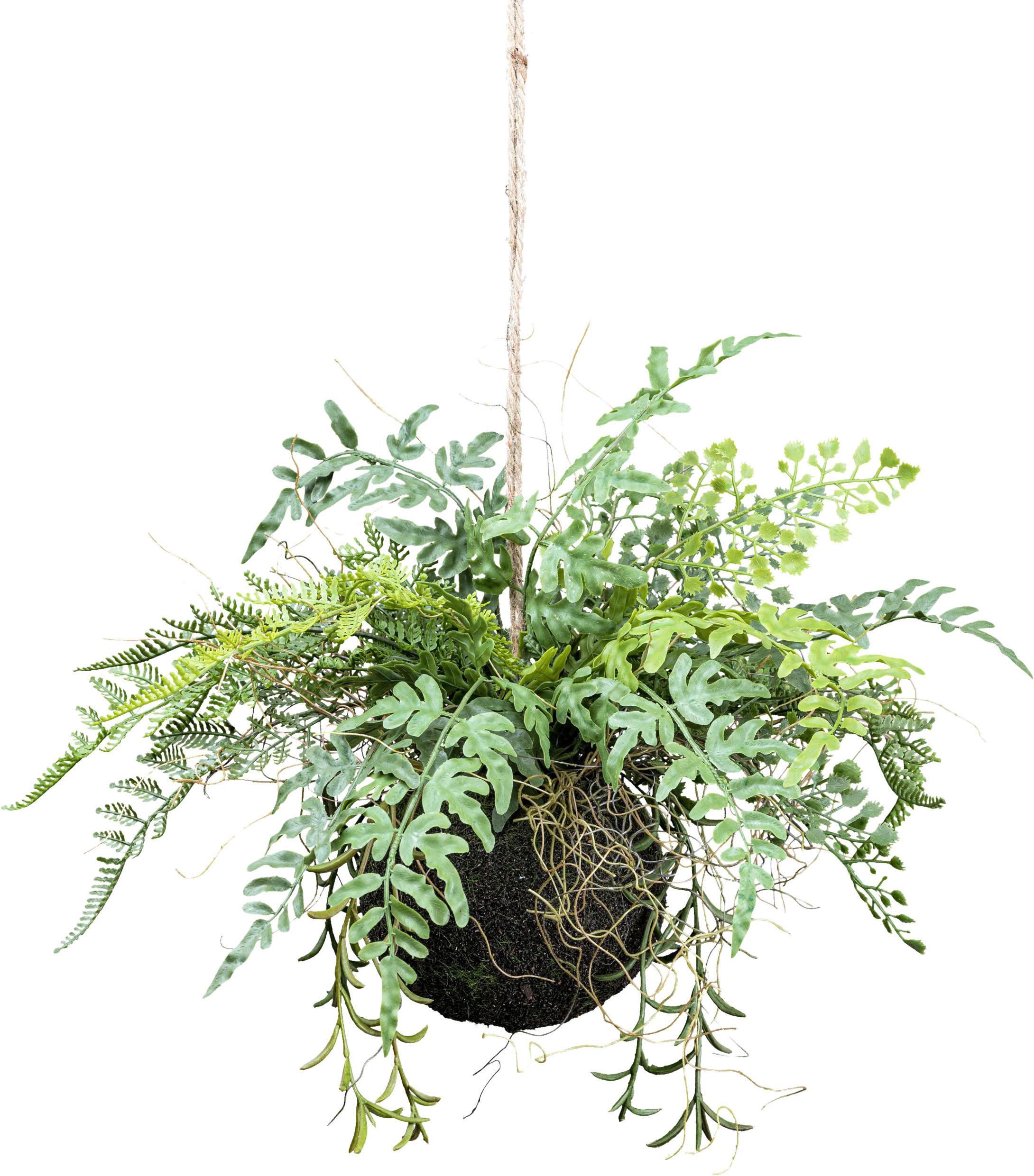 Kunstpflanze H: 25 Cm - Grün, Design, Kunststoff (25cm) - P & B