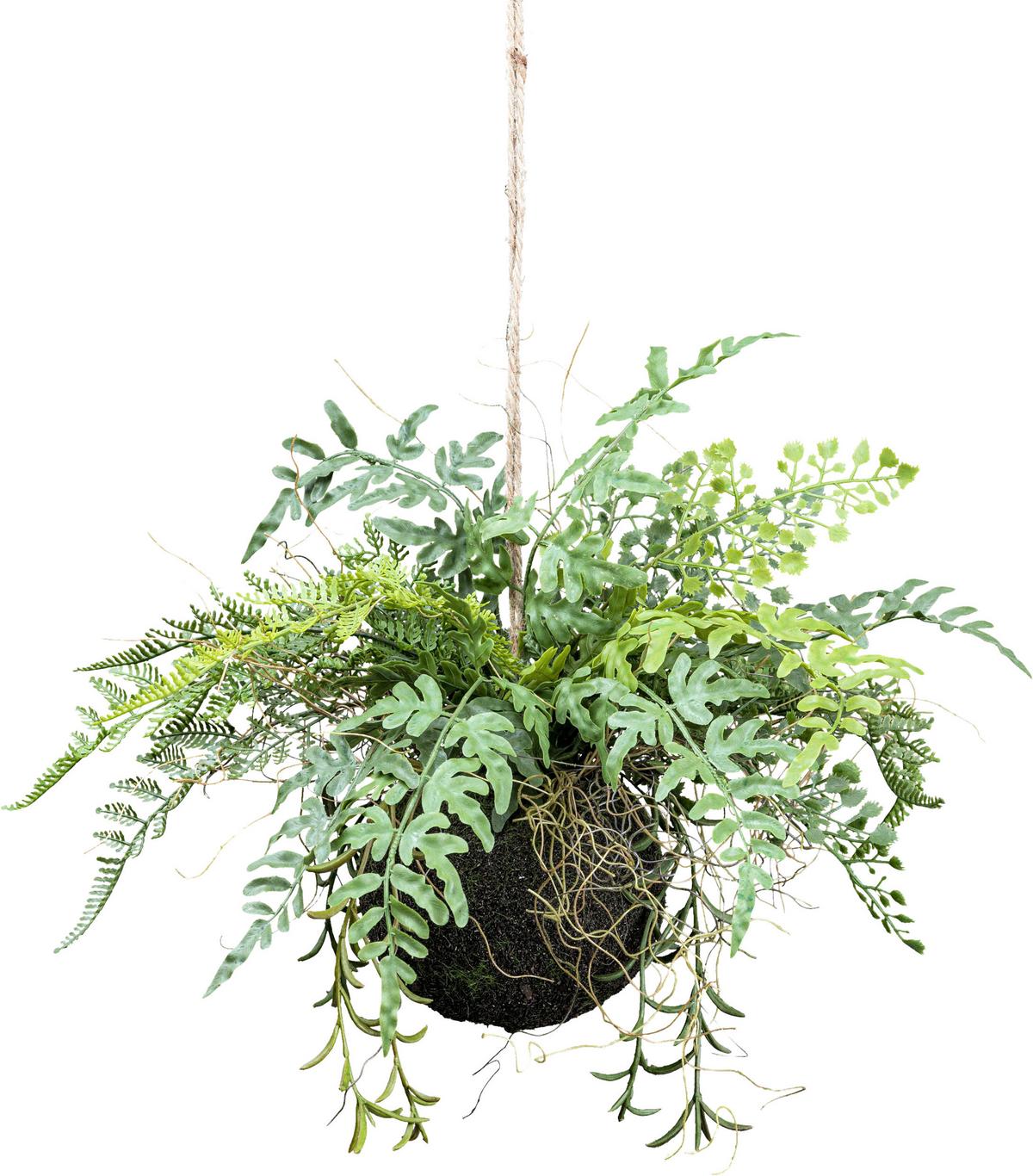 Kunstpflanze H: 25 Cm - Grün, Design, Kunststoff (25cm) - P & B