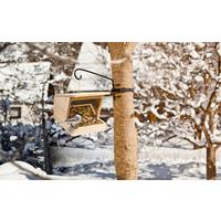 Vogelfuttersilo Pultdach Xl, Kiefer - Naturfarben, Basics, Holz (18/20/27cm) - Windhager