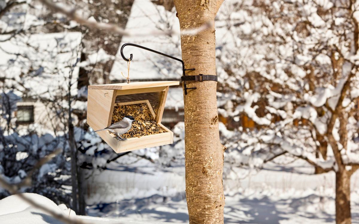 Vogelfuttersilo Pultdach Xl, Kiefer - Naturfarben, Basics, Holz (18/20/27cm) - Windhager