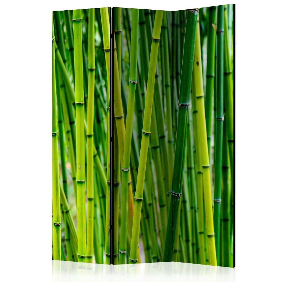 Paravent Hellgrün B: 135 cm - Hellgrün, Basics, Holz/Kunststoff (135/172/3cm) - artgeist