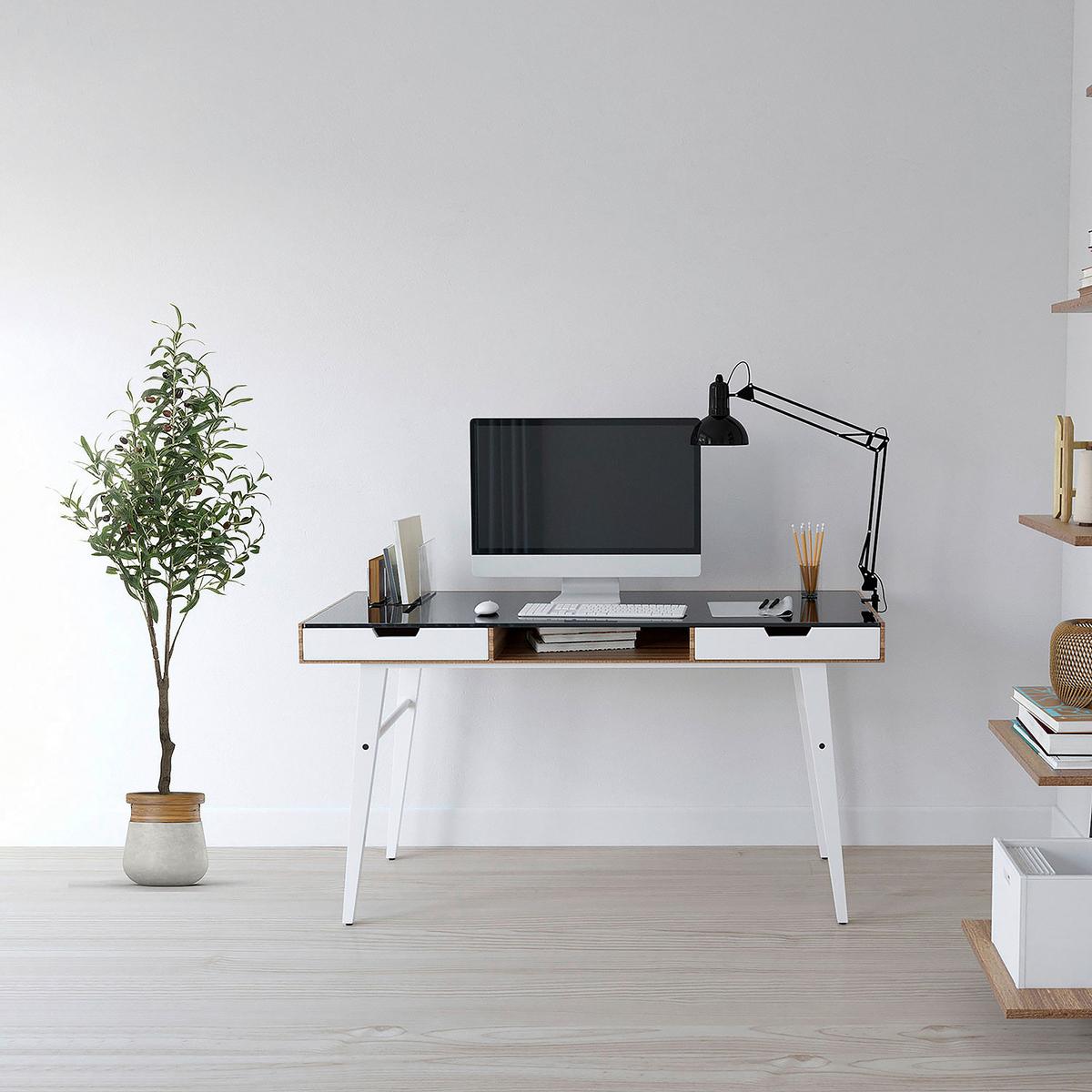 Kunstpflanze Olive - Schwarz/Braun, Basics, Kunststoff (45/120/45cm) - MID.YOU