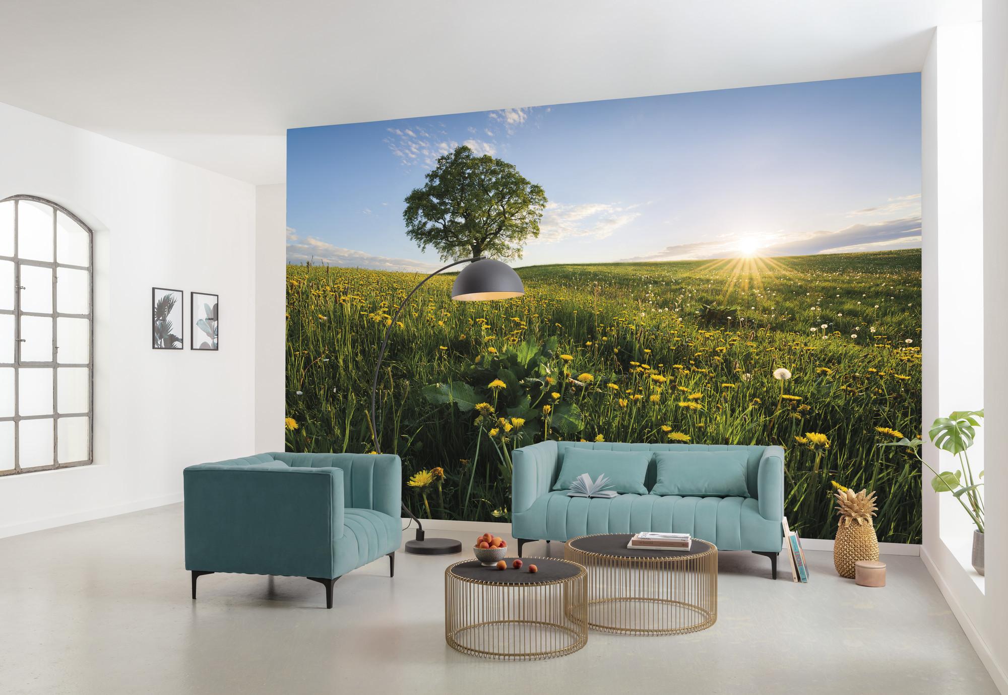 Fototapete Frühling Auf Dem Land - Multicolor, Trend, Textil (450/280cm)