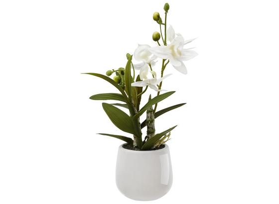 Umelá Rastlina Japonská Orchidea - biela/zelená, Basics, plast (32cm) Umelá Rastlina Japonská Orchidea - biela/zelená, Basics, plast (32cm)