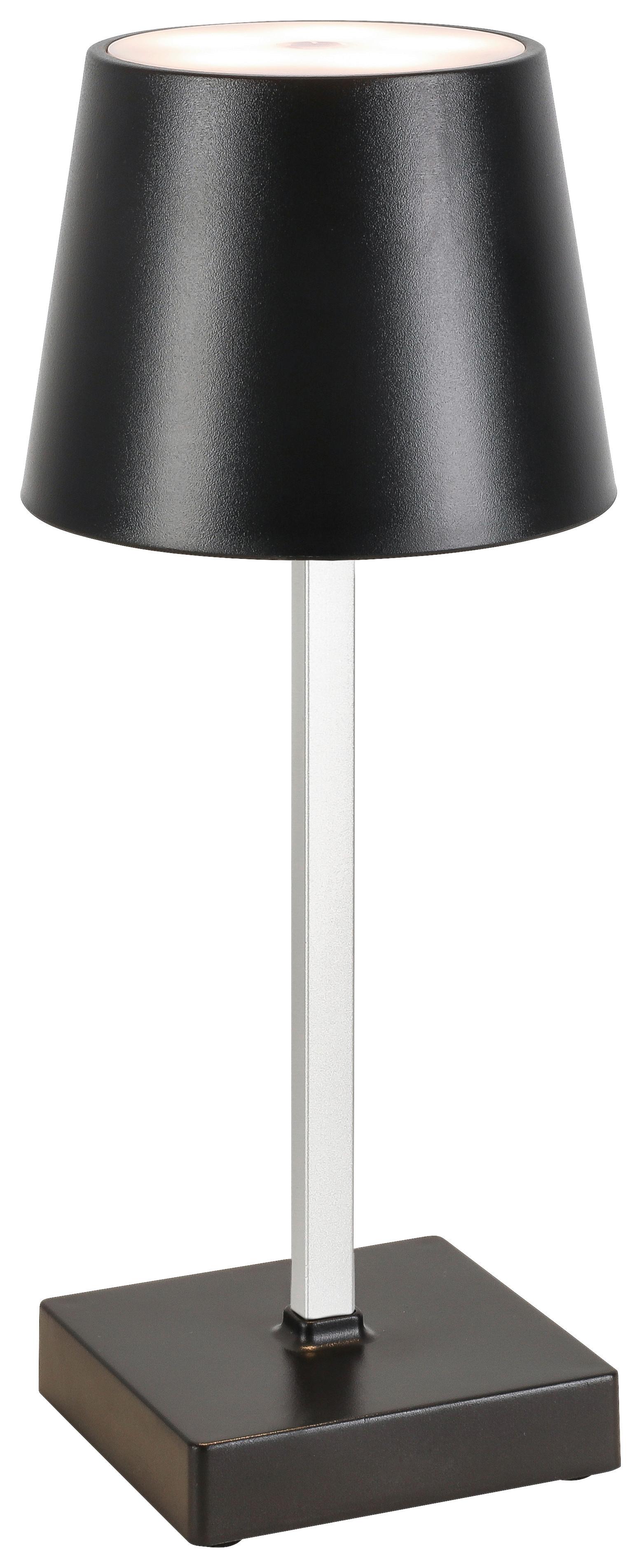 DEKORAČNÉ LED SVIETIDLO GOPI - čierna/strieborná, Romantik / Landhaus, kov/plast (10,5/26cm) - Modern Living