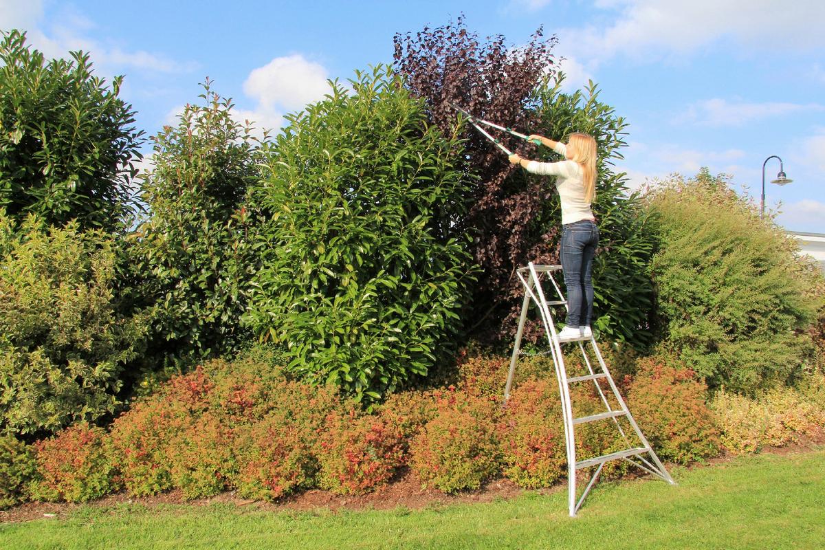 Leiter 3-Holm-Gartenleiter 180cm - Silberfarben, Basics, Metall (125/180/20cm)