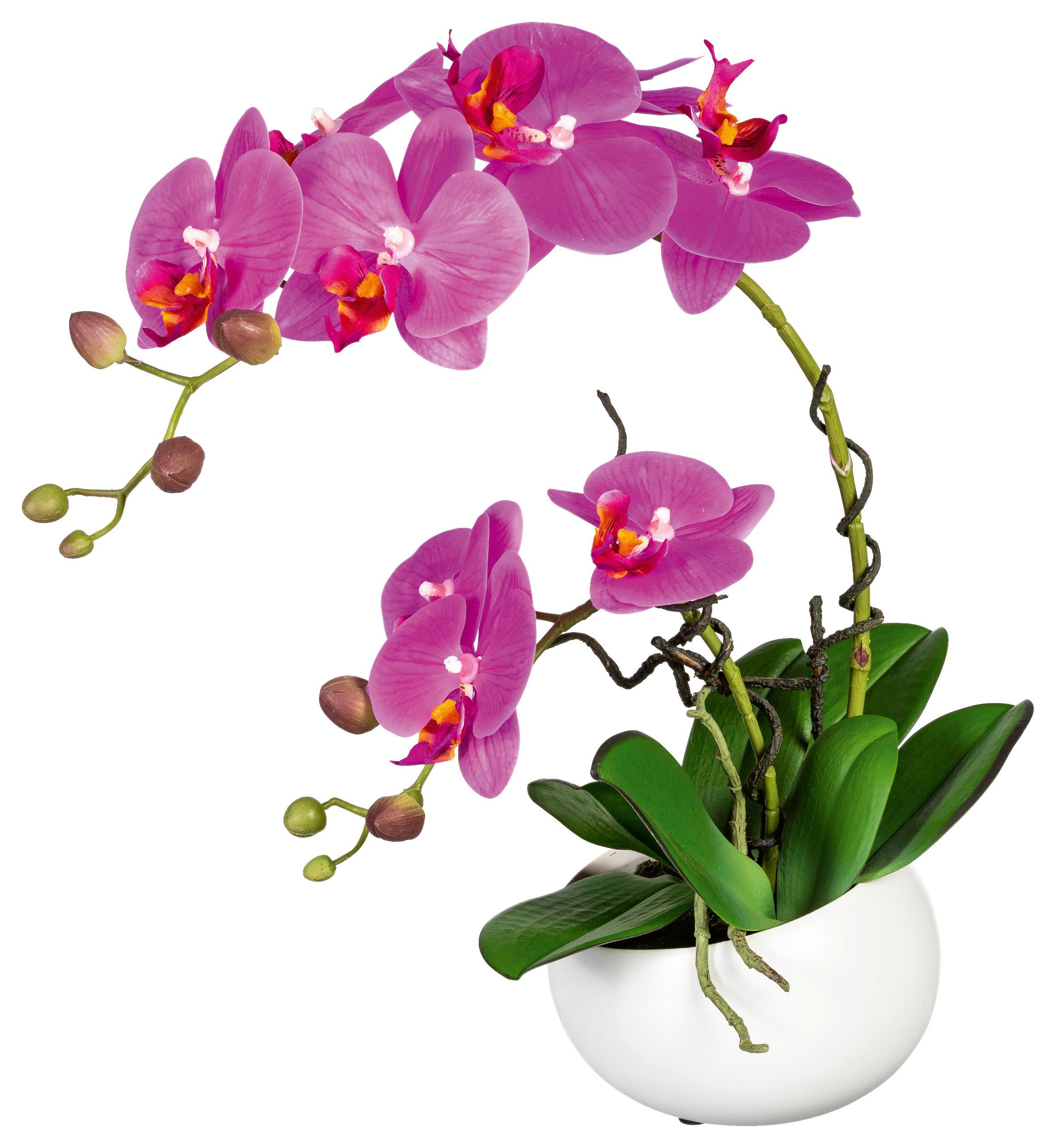 Kunstpflanze Orchideen Pink, Topf: Weiß, H: 42 cm - Pink/Weiß, Design, Keramik/Kunststoff (42cm) - P & B