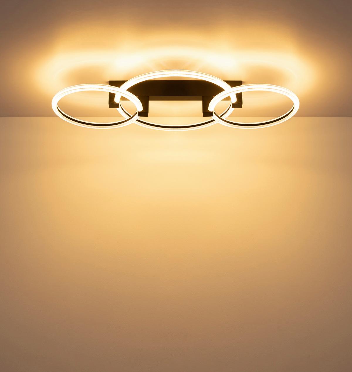 STROPNÉ LED SVIETIDLO FLETCHER - priehľadné/čierna, Design, kov/plast (76,1/38/11,5cm) - Globo