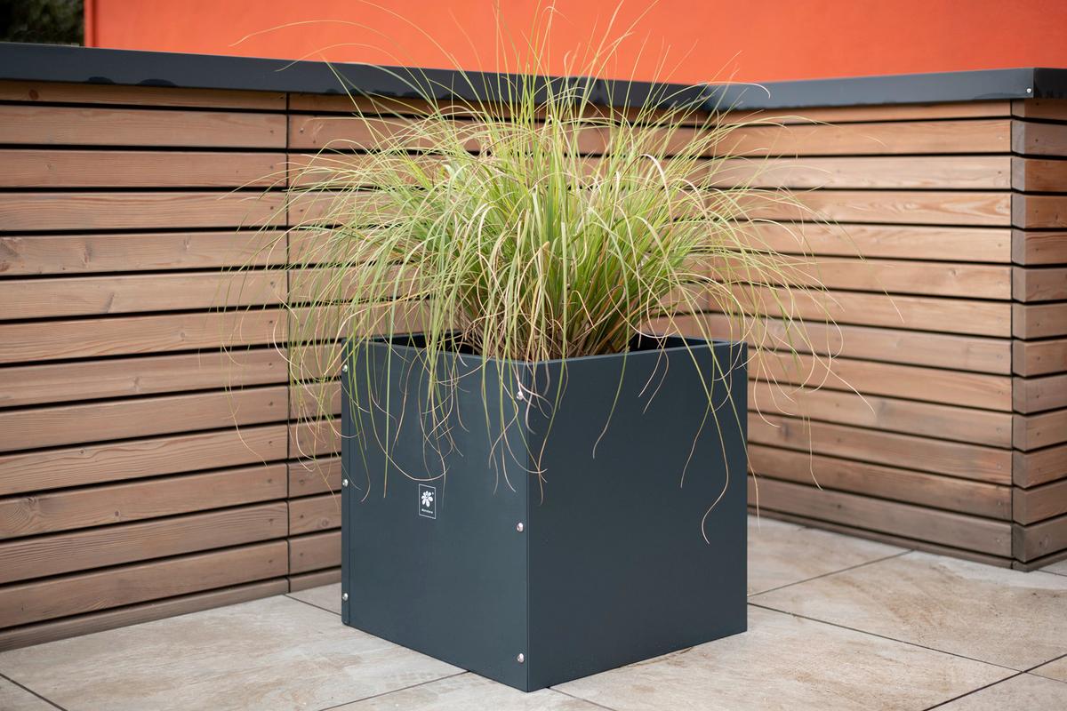 Pflanzentopf Pflanzkasten 50x50x50 - Anthrazit, Basics, Metall (50/50/50cm)