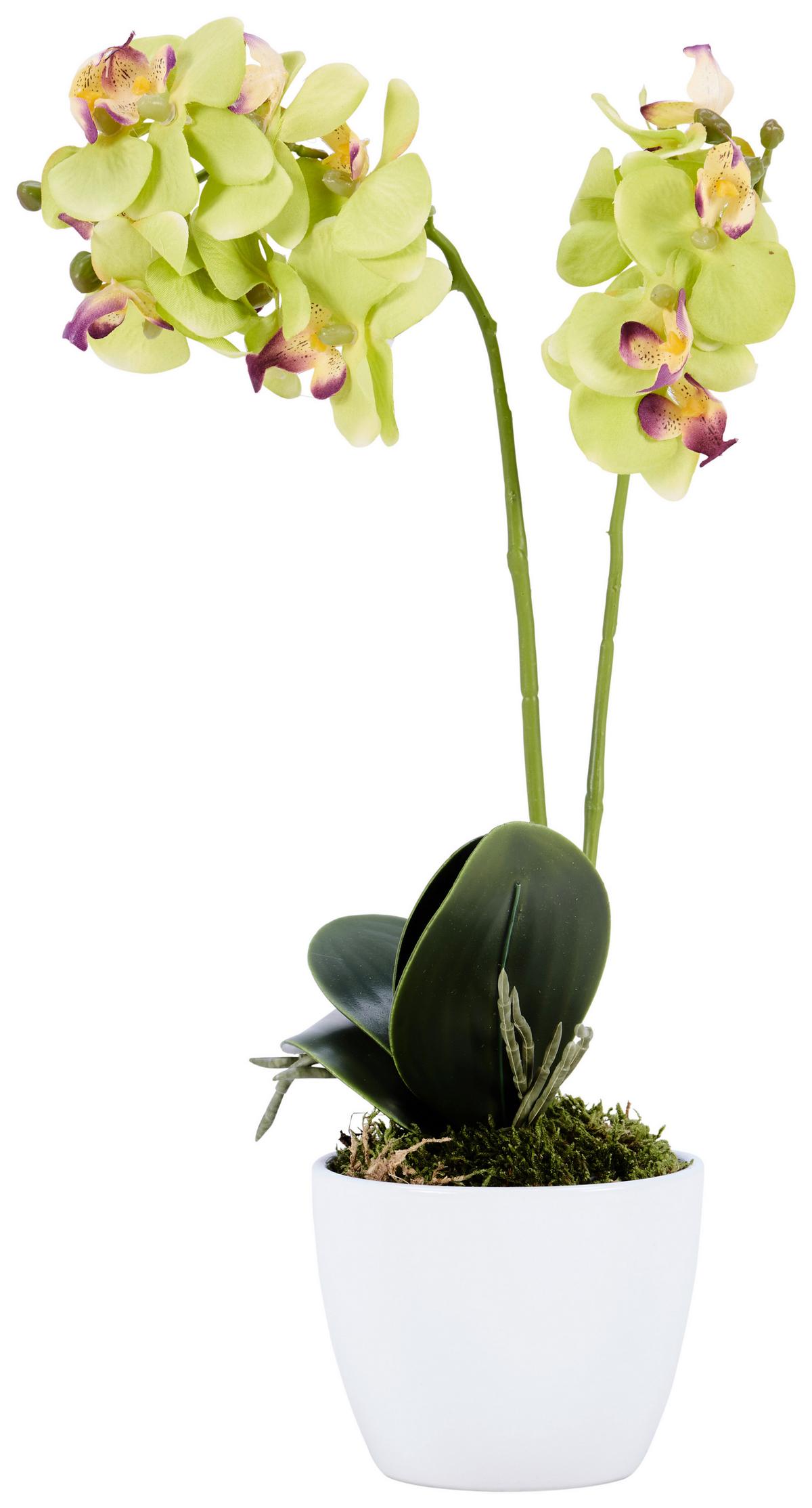 Kunstpflanze Orchidee Bunt H: 40 cm Im Topf, Sofie - Lila/Weiß, KONVENTIONELL, Keramik/Kunststoff (40cm)