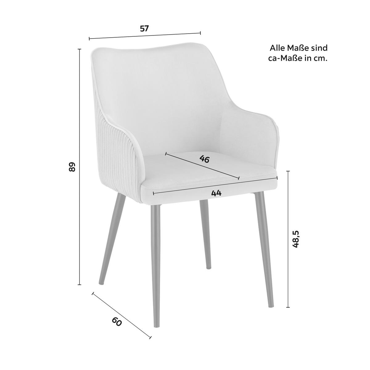 Sametová židle Caria šedá - černá/světle šedá, Moderní, kov/dřevo (57/89/60cm) - Bessagi Home