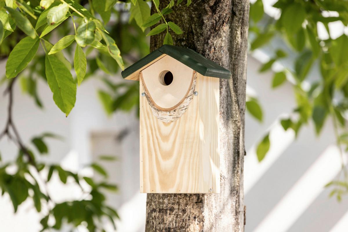 Nistkasten Mointainlodge, Birke, Bxhxt: 17x19x32 Cm - Birkefarben, Basics, Holz (17/19/32cm) - Windhager