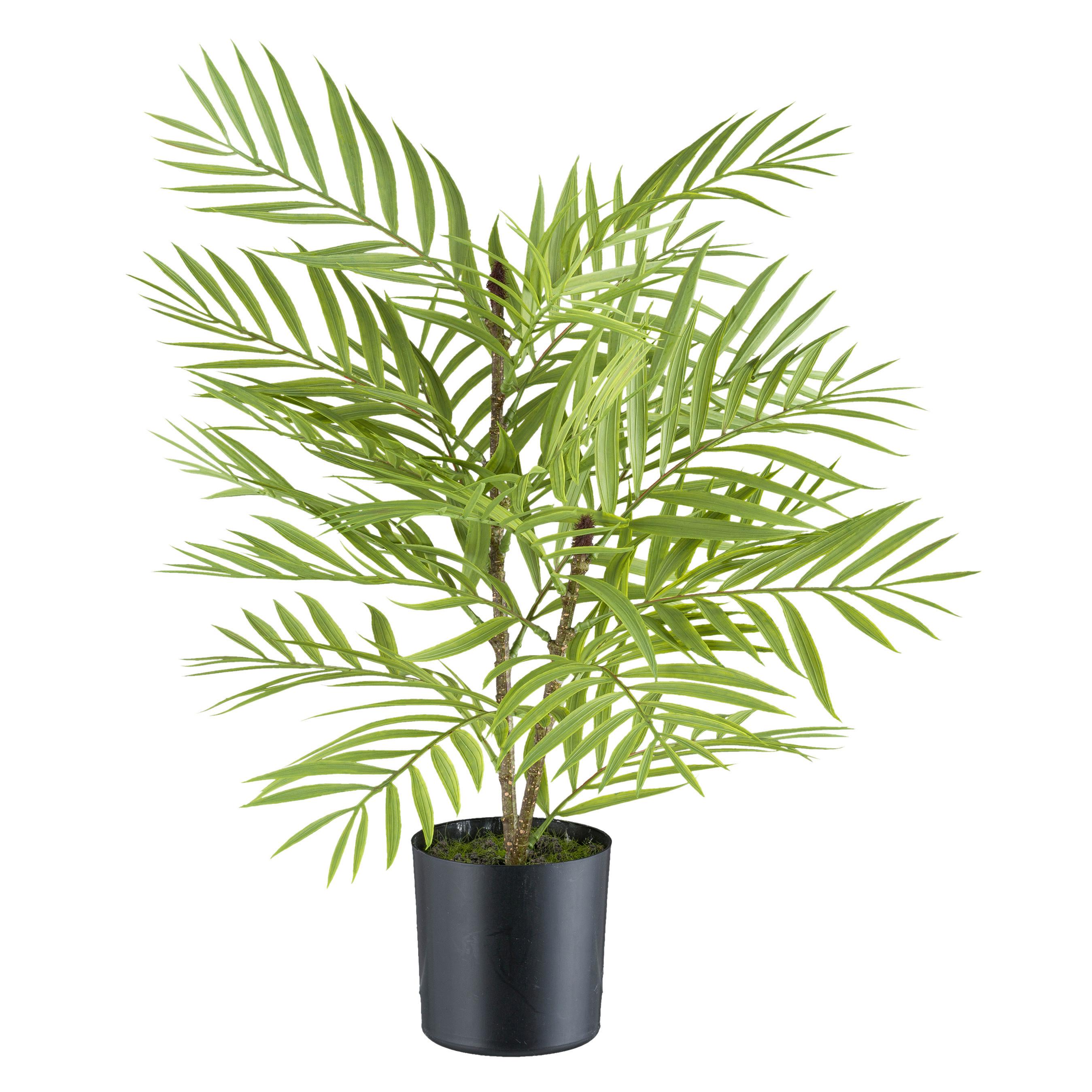 Kunstpflanzen Palmen Grün/Braun/Schwarz, 48 cm - Schwarz/Braun, Design, Kunststoff (48cm) - P & B