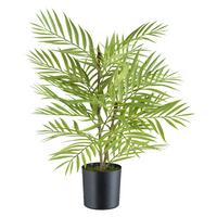 Kunstpflanzen Palmen Grün/Braun/Schwarz, 48 cm - Schwarz/Braun, Design, Kunststoff (48cm) - P & B