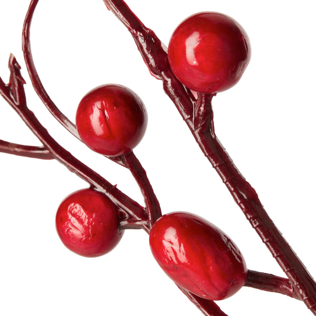 Dekor Gally Beeren -Paz- - barna/piros, Modern, műanyag (47cm)