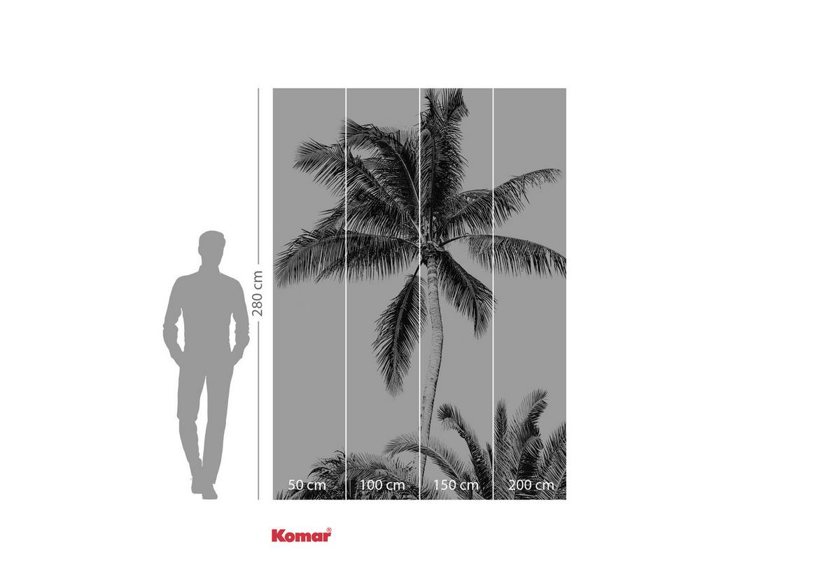 Fototapete Retro Palm - Schwarz/Weiß, Trend, Papier (200/280cm)