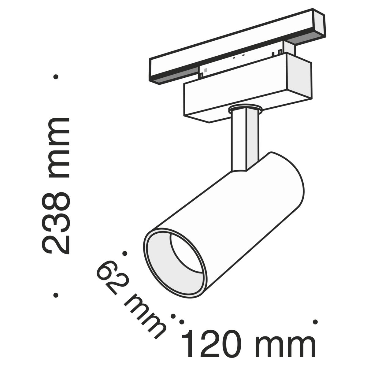Schienensystem-strahler Focus Led - Schwarz, Basics, Metall (12/14,6/13,6cm) - MAYTONI
