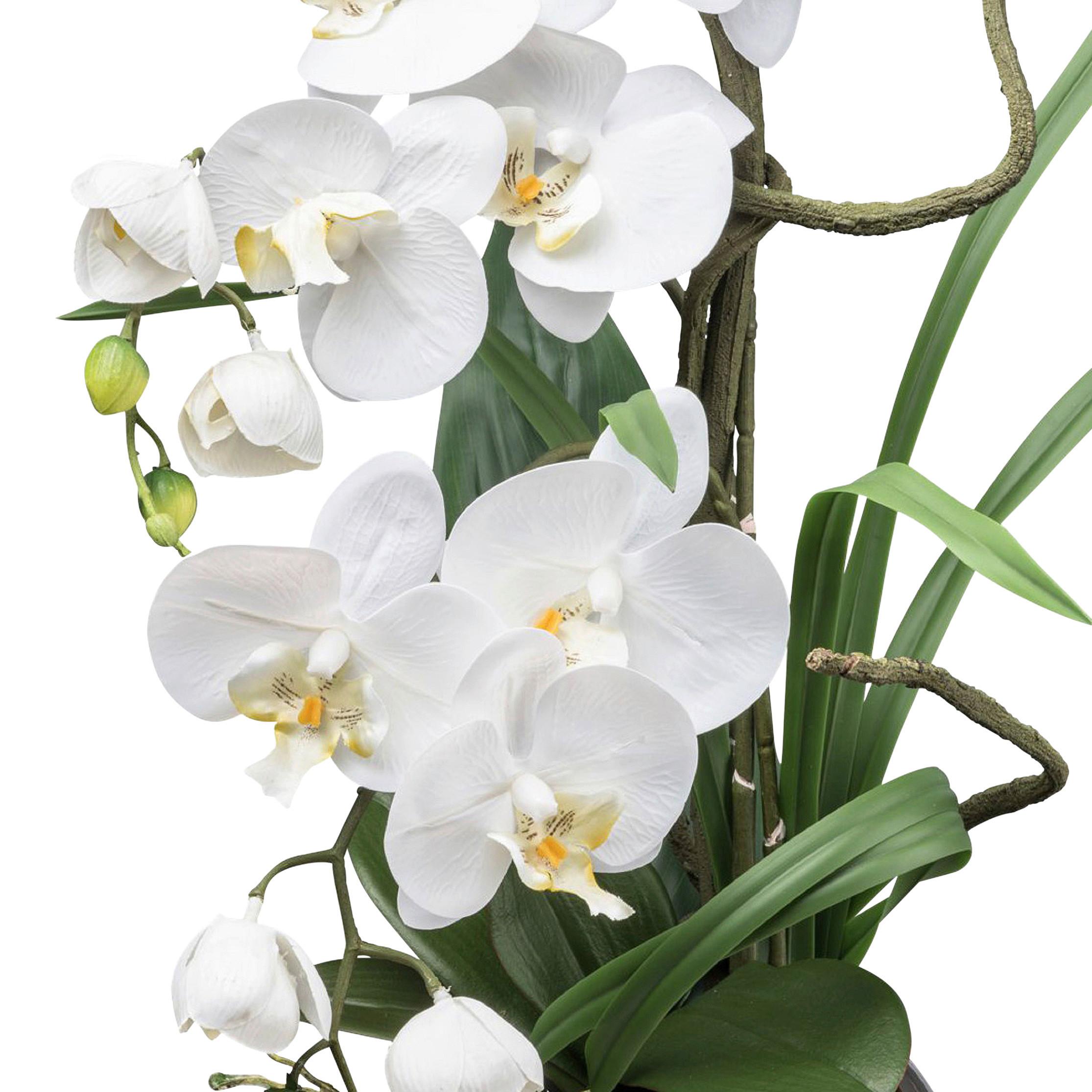 Kunstpflanze Orchideen, Weiß Topf: Silberfarben, H: 68 cm - Silberfarben/Weiß, Design, Keramik/Kunststoff (68cm) - P & B