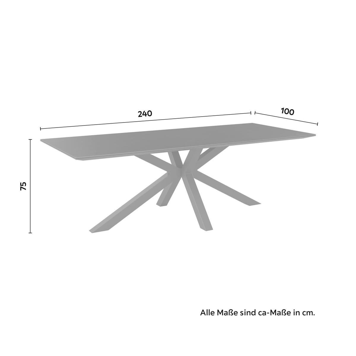ZÁHRADNÝ STÔL MARBELLA - antracitová, Modern, kov/sklo (240/100/75cm) - Mömax