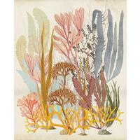Vliestapete Catchy Corals - Multicolor, Basics (200/250cm) - Komar
