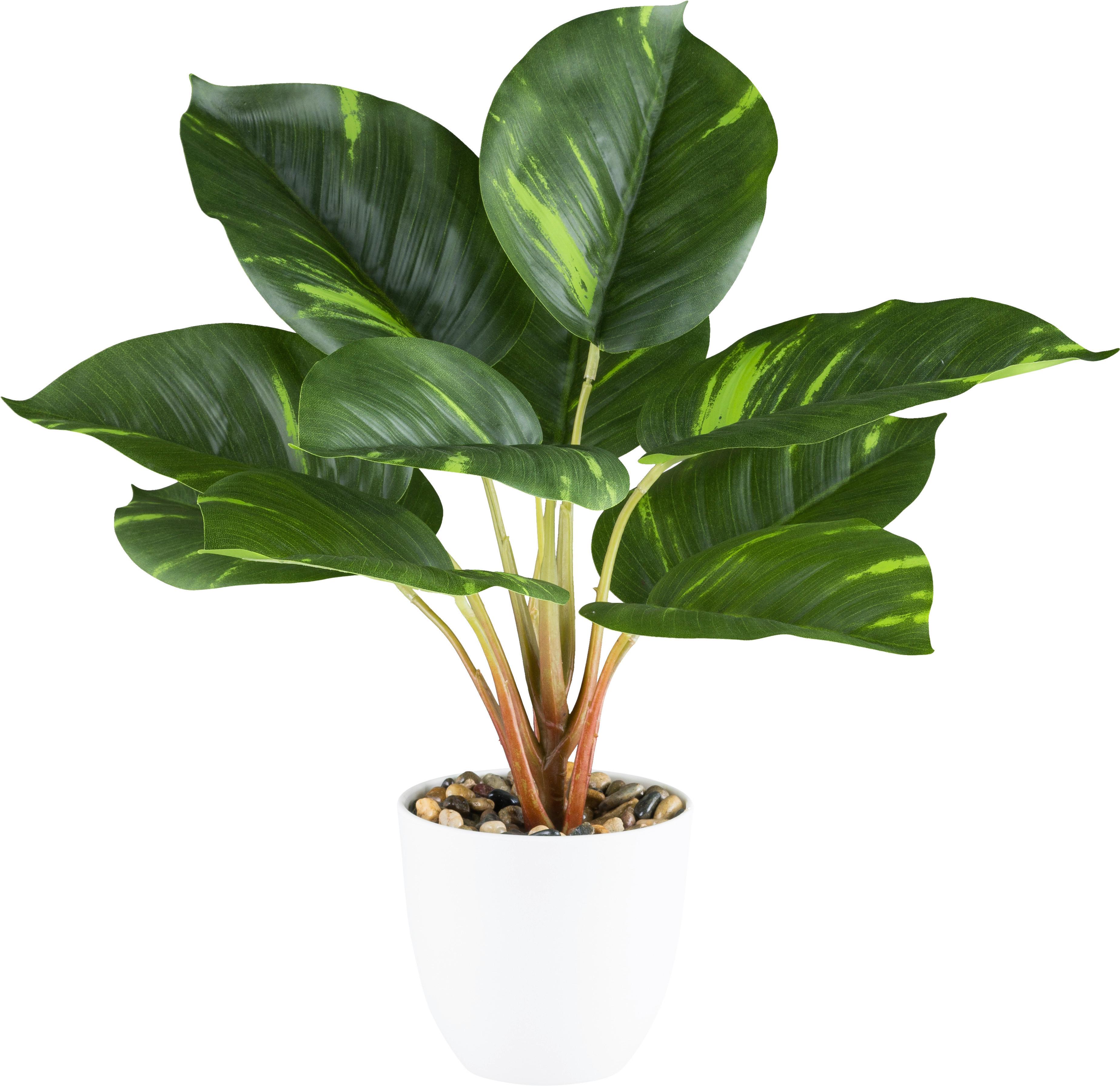 Kunstpflanze H: 36 cm - Weiß/Naturfarben, Design, Kunststoff (36cm) - P & B