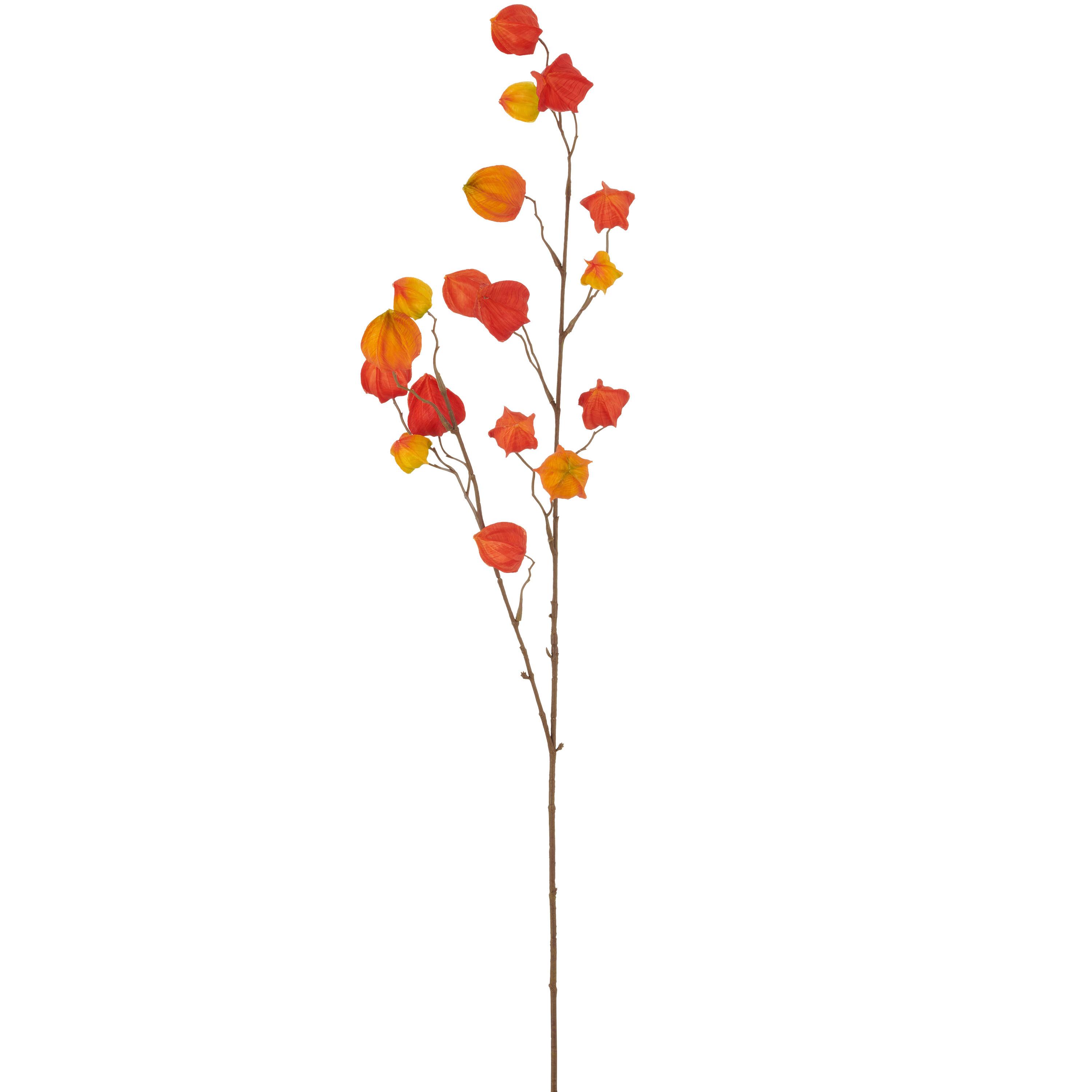 Umelá rastlina PHYSALISZWEIG I - oranžová/hnedá, Basics, plast (105cm) - Mömax