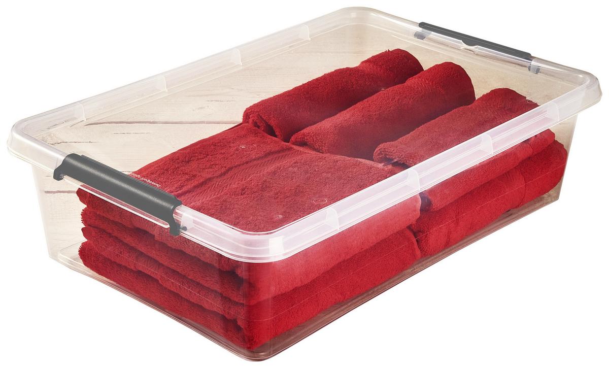 Unterbettroller m. Deckel Lars 29L, 58x39x16 cm - Transparent, Basics, Kunststoff (58/39/16cm) - Homezone