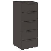 Kommode 40 Cm Flipp Graphitfarben - Schwarz/Graphitfarben, MODERN, Holzwerkstoff (40/100/42cm) - Rauch Möbel