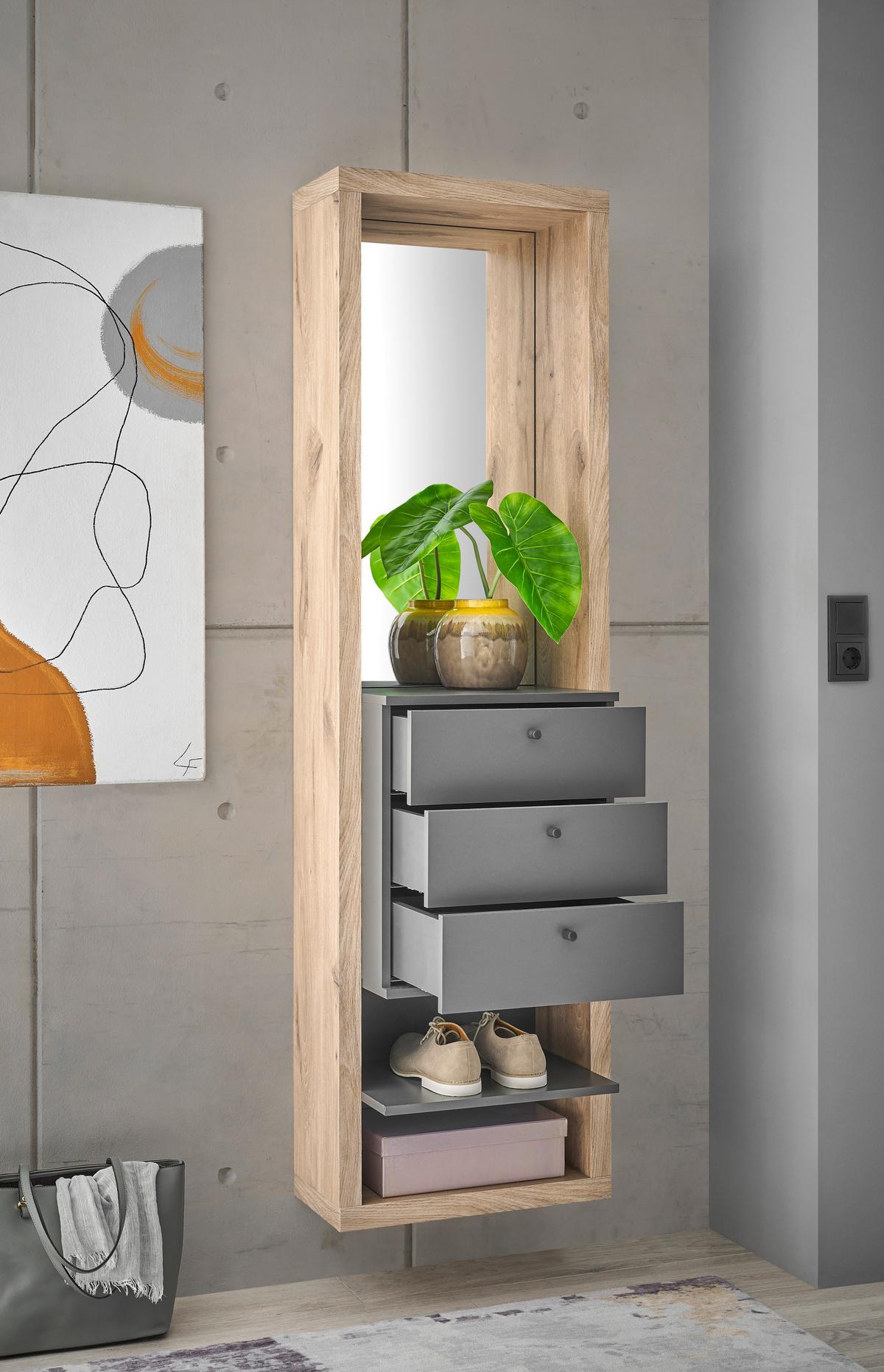 PREDSIEŇOVÝ NÁBYTOK FRAME - farba duba/antracitová, Basics, kompozitné drevo/sklo (51/178/35cm) - Carryhome