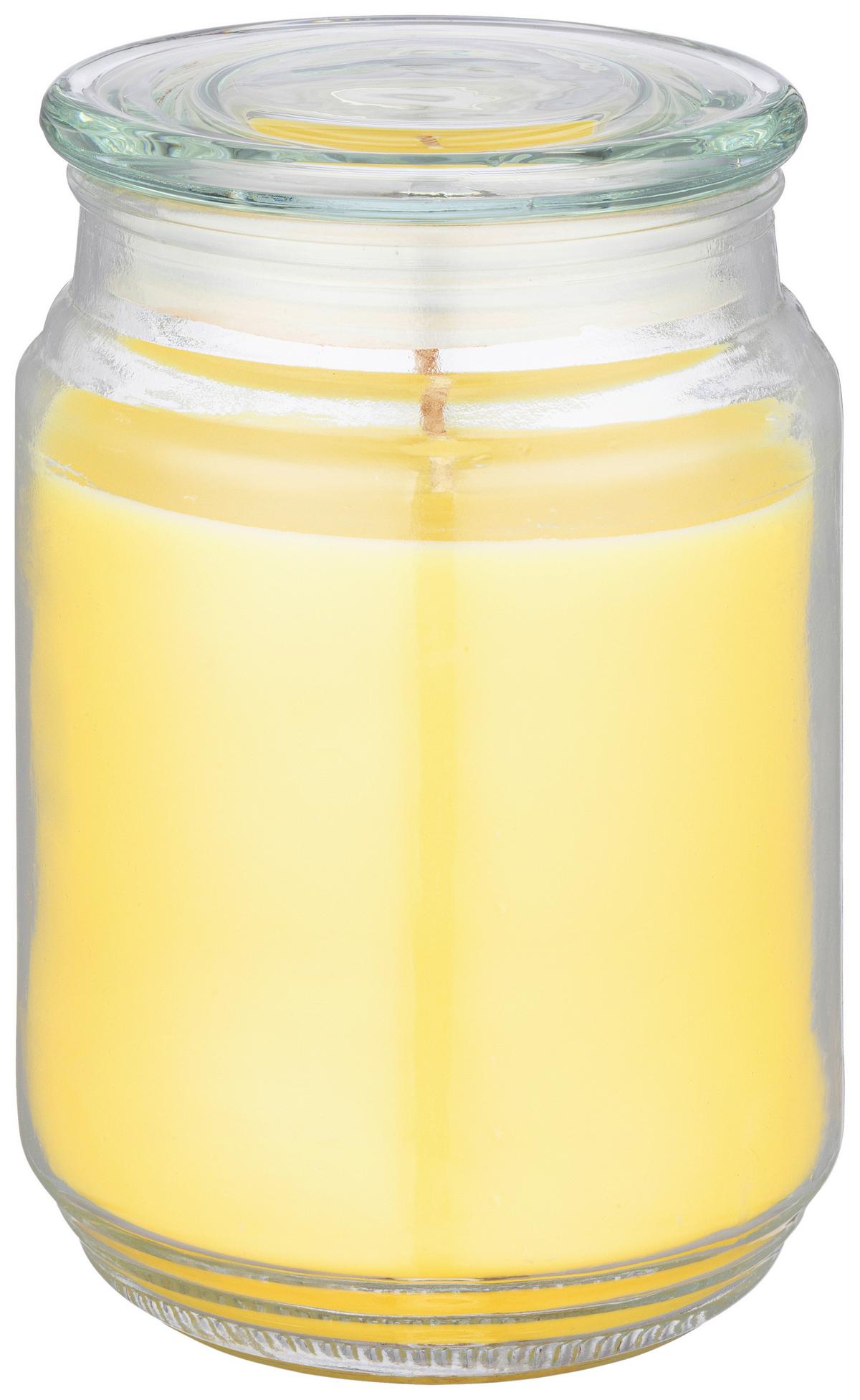 Kerze Im Glas Mit Deckel Leonie - Blau/Klar, KONVENTIONELL, Glas/Naturmaterialien (9.5/14cm) - Ondega