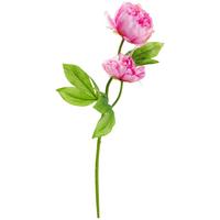 Kunstpflanze Pfingstrose Rosa L: 60 Cm, Aileen - Grün, Basics, Kunststoff/Textil (60cm)