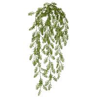 Kunstpflanze H: 80 Cm - Grün, Basics, Kunststoff (80cm) - PPD