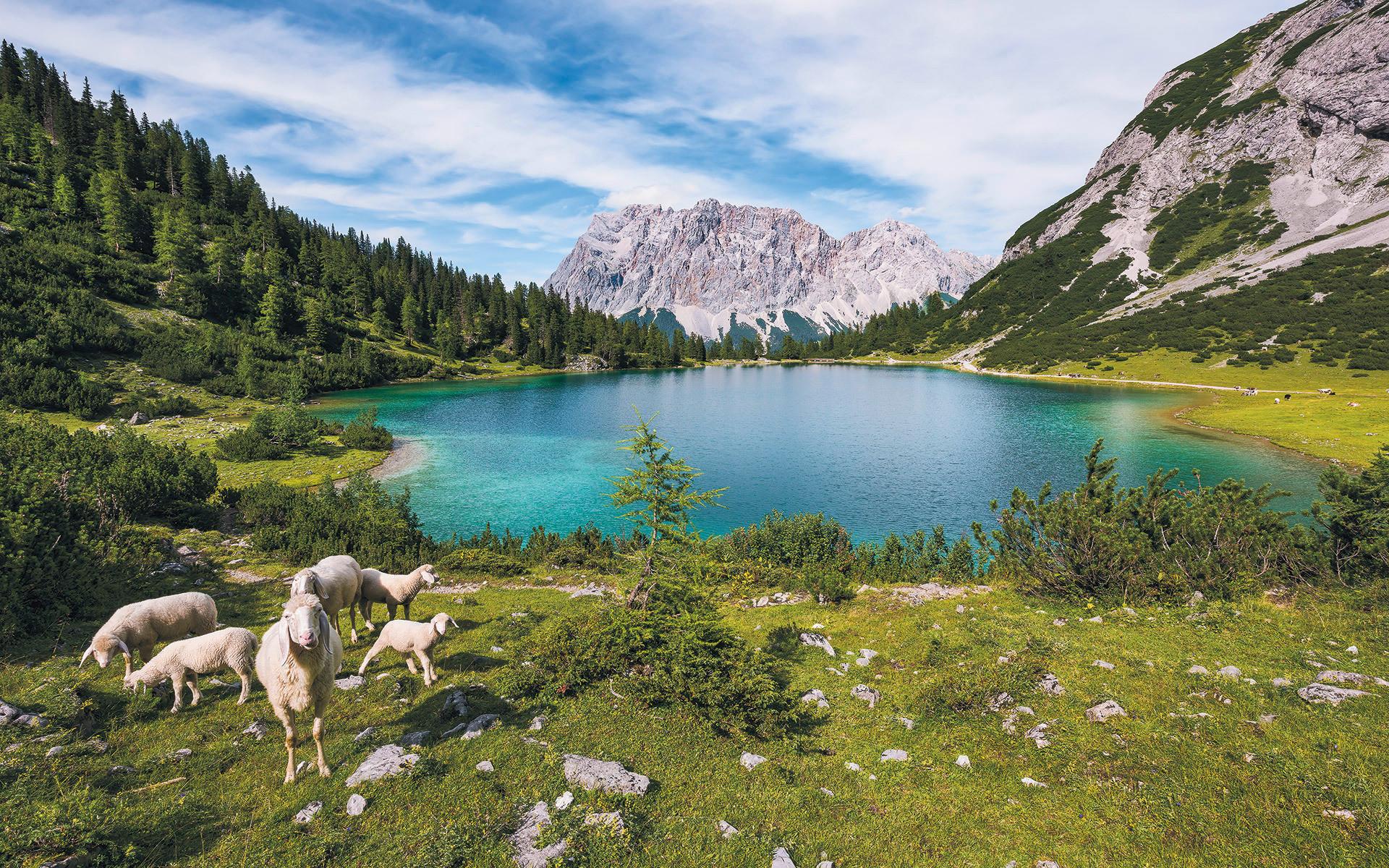 Vliestapete Sh070-Vd4 Paradise Lake - Natur (400/250cm)