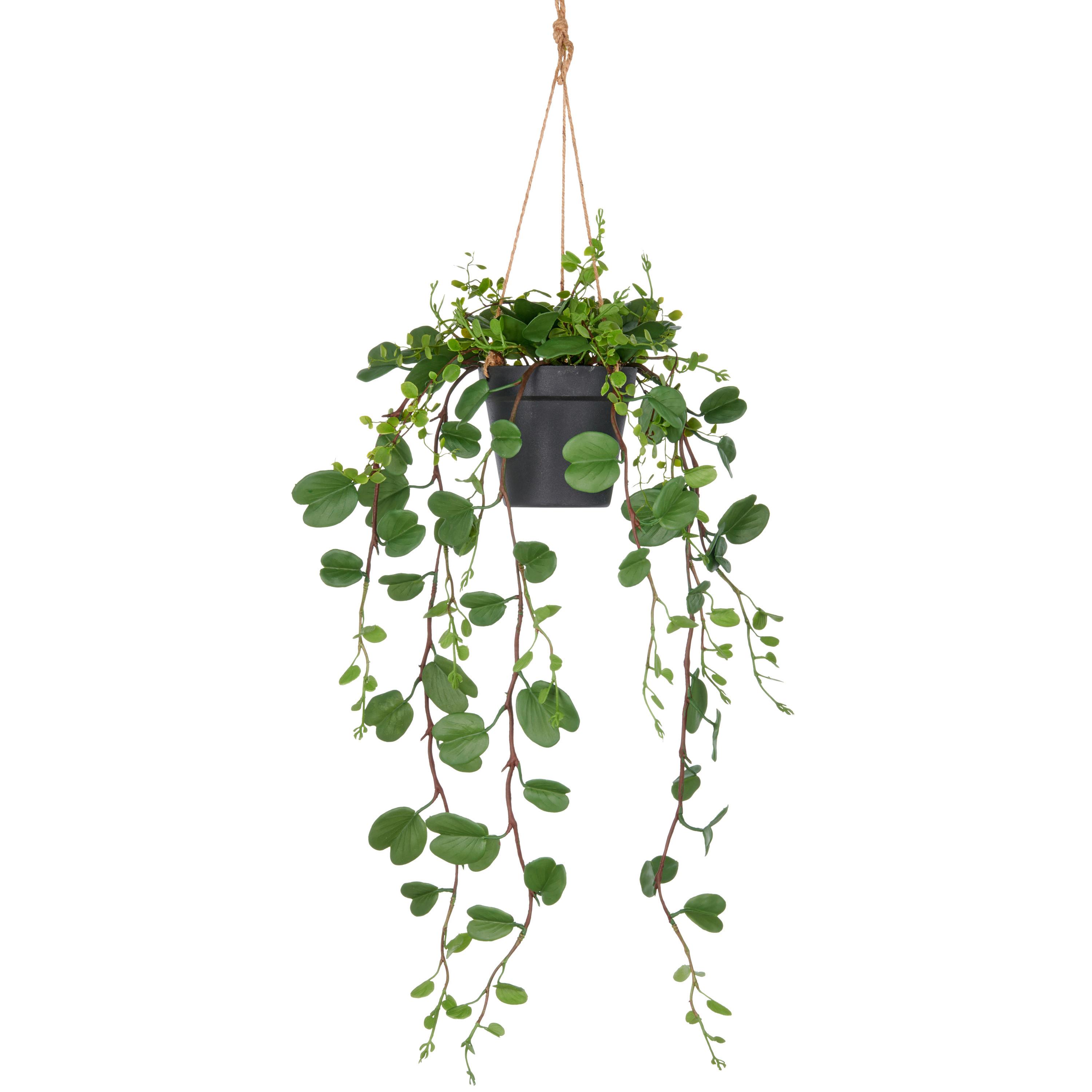 Kunstpflanze Grün Schwarz B: 16 cm - Schwarz/Grün, Basics, Kunststoff (16/42/17cm) - P & B