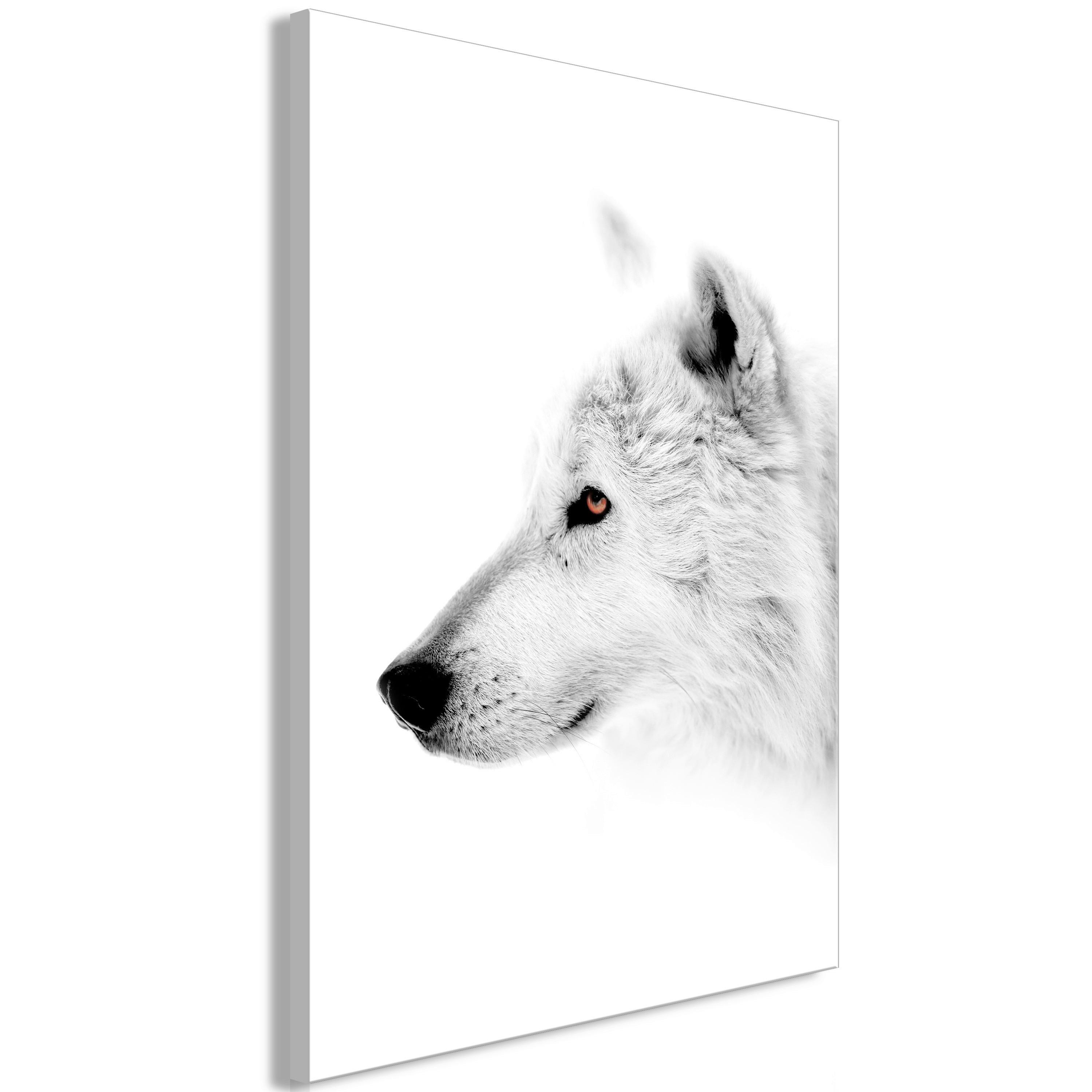 Leinwandbild Amber Gaze Grau Weiß B: 40 cm - Weiß/Grau, Basics, Holzwerkstoff/Textil (40/60/1,2cm) - artgeist