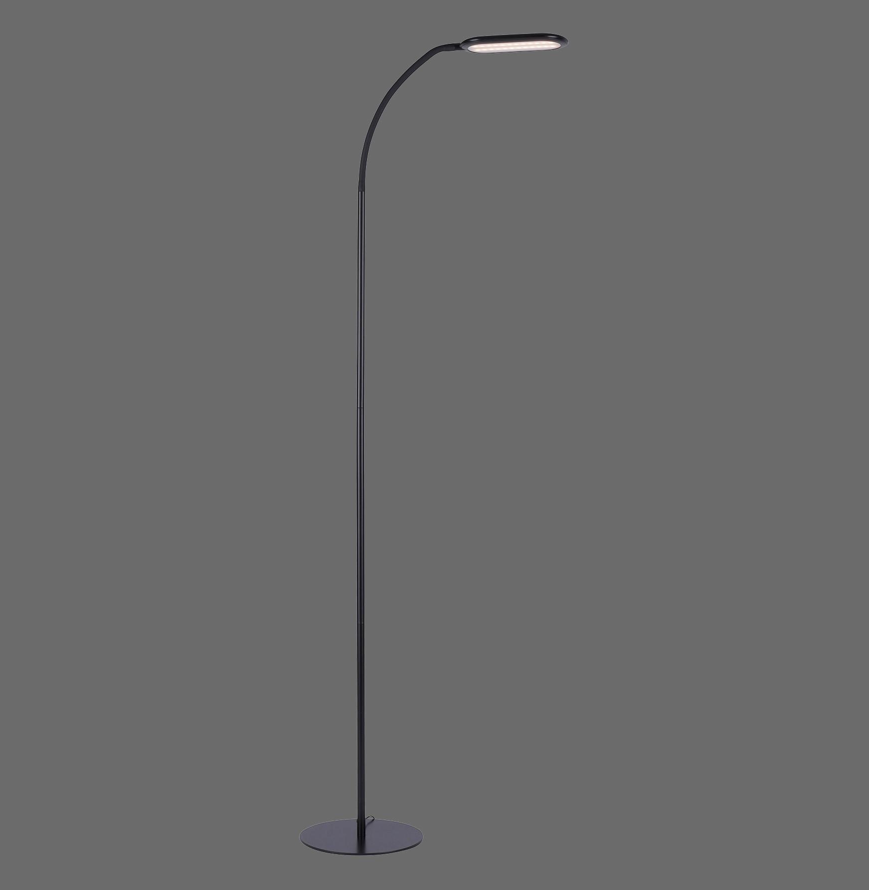 Stojací Led Svítidlo Kelly, V: 175cm - černá, Moderní, kov/plast (175cm)