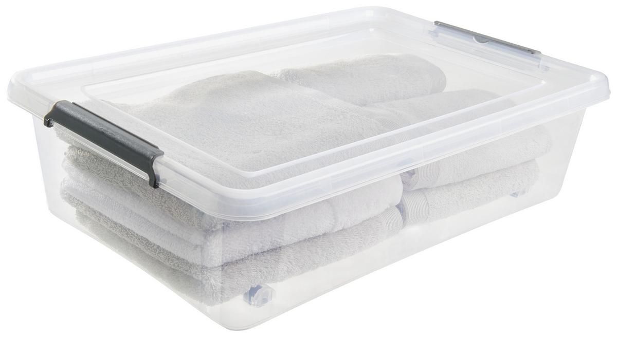 Unterbettroller m. Deckel Lars 29L, 58x39x16 cm - Transparent, Basics, Kunststoff (58/39/16cm) - Homezone