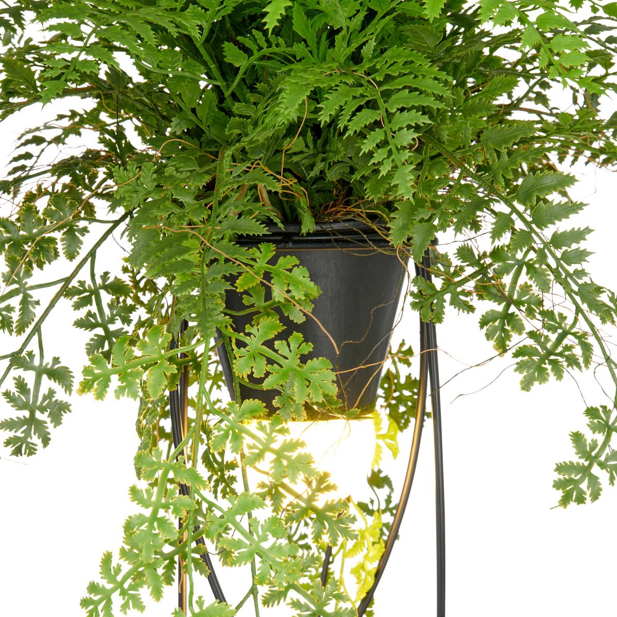 Kunstpflanze Farnmix, H: 60 cm Kunststoff, Grün/Schwarz, - Schwarz/Grün, Basics, Kunststoff/Metall (60cm) - P & B