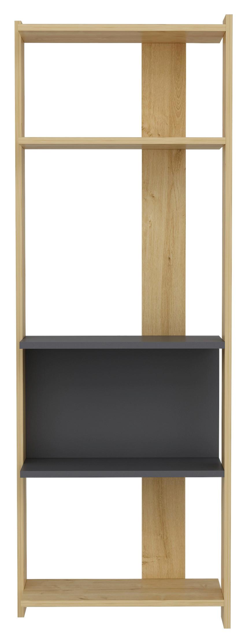 REGÁL ABIS - farba duba/antracitová, Design, kompozitné drevo (58,6/165/26,8cm) - MID.YOU