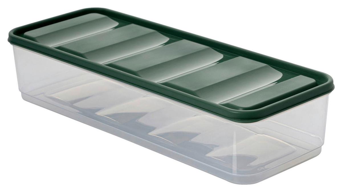 Vorratsdosenset Grün 20-teilig - Dunkelgrün/Transparent, Kunststoff